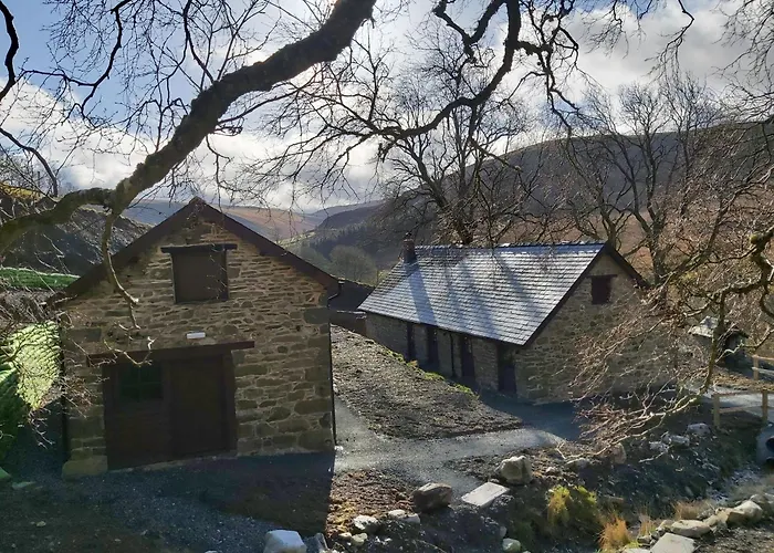 Cwm Clyd Longhouse